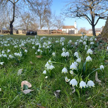 Aich22 * Peißenberg