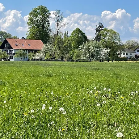 Aich22 * Peissenberg