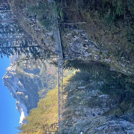 Aich22 * Peißenberg