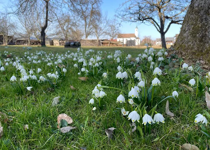 Aich22 * Peißenberg